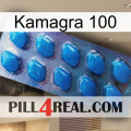 Kamagra 100 viagra1